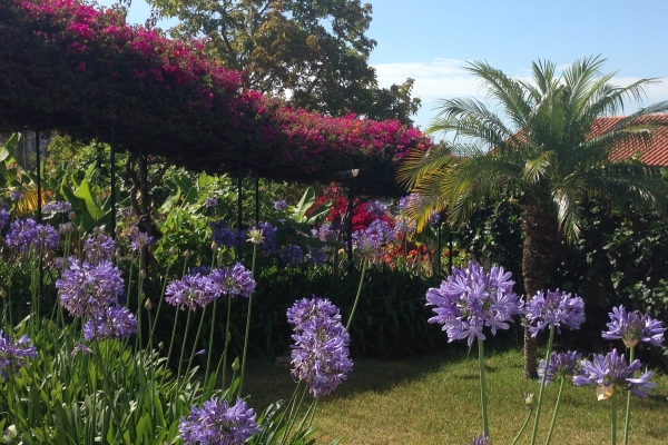 Hotel Quinta Mae dos Homens